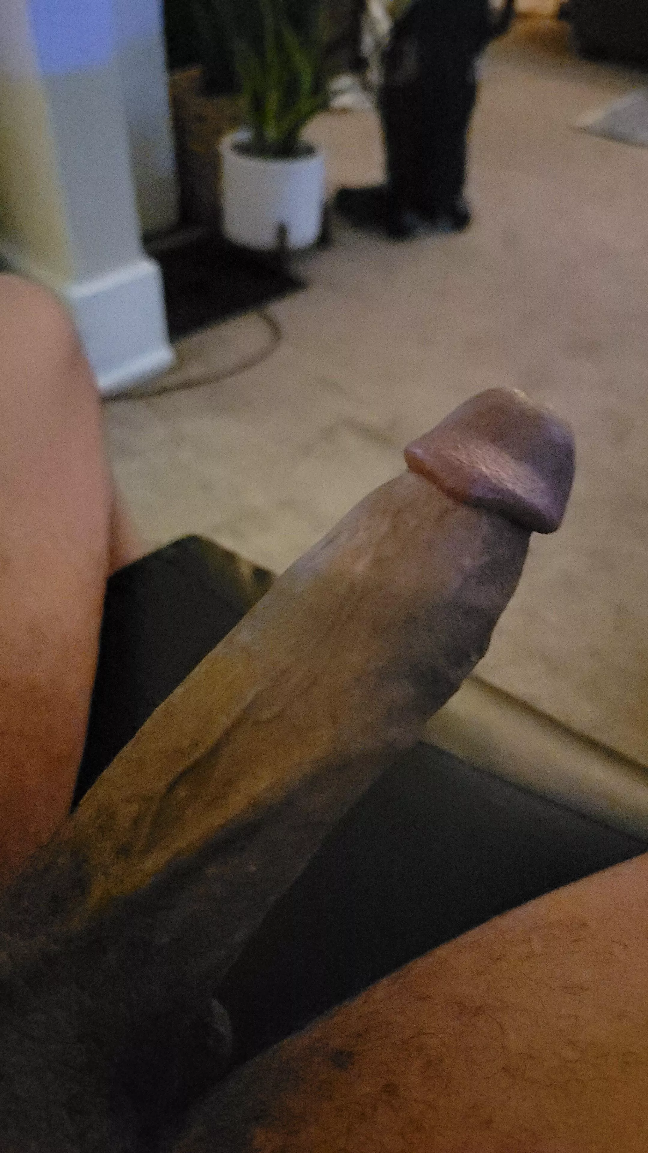 Cum take a seat
