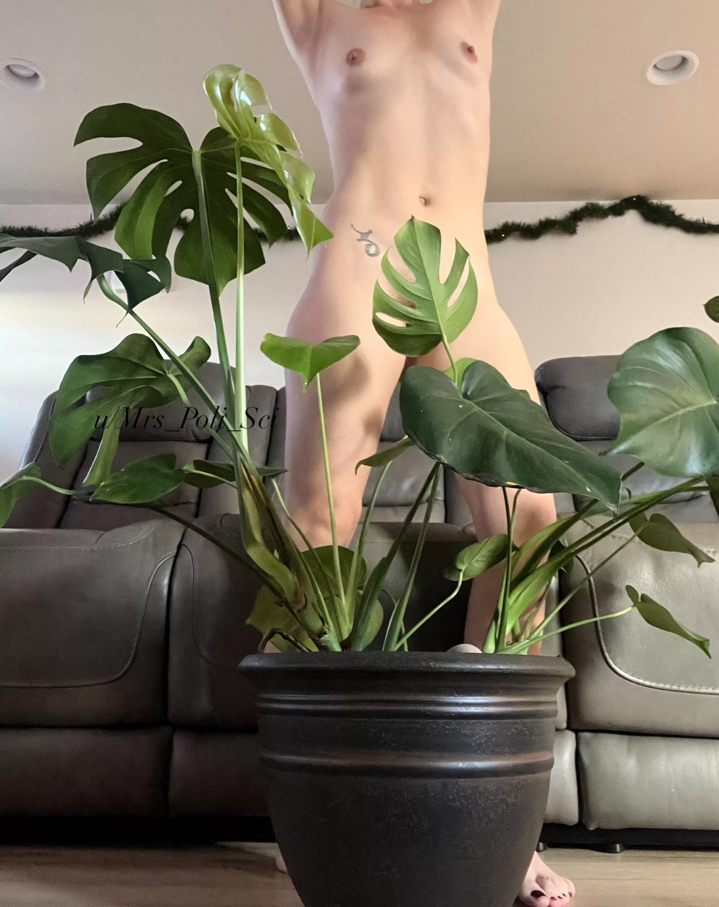 Do you like plants as much as I do