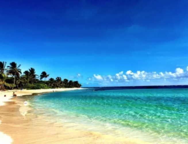 Flamenco Puerto Rico