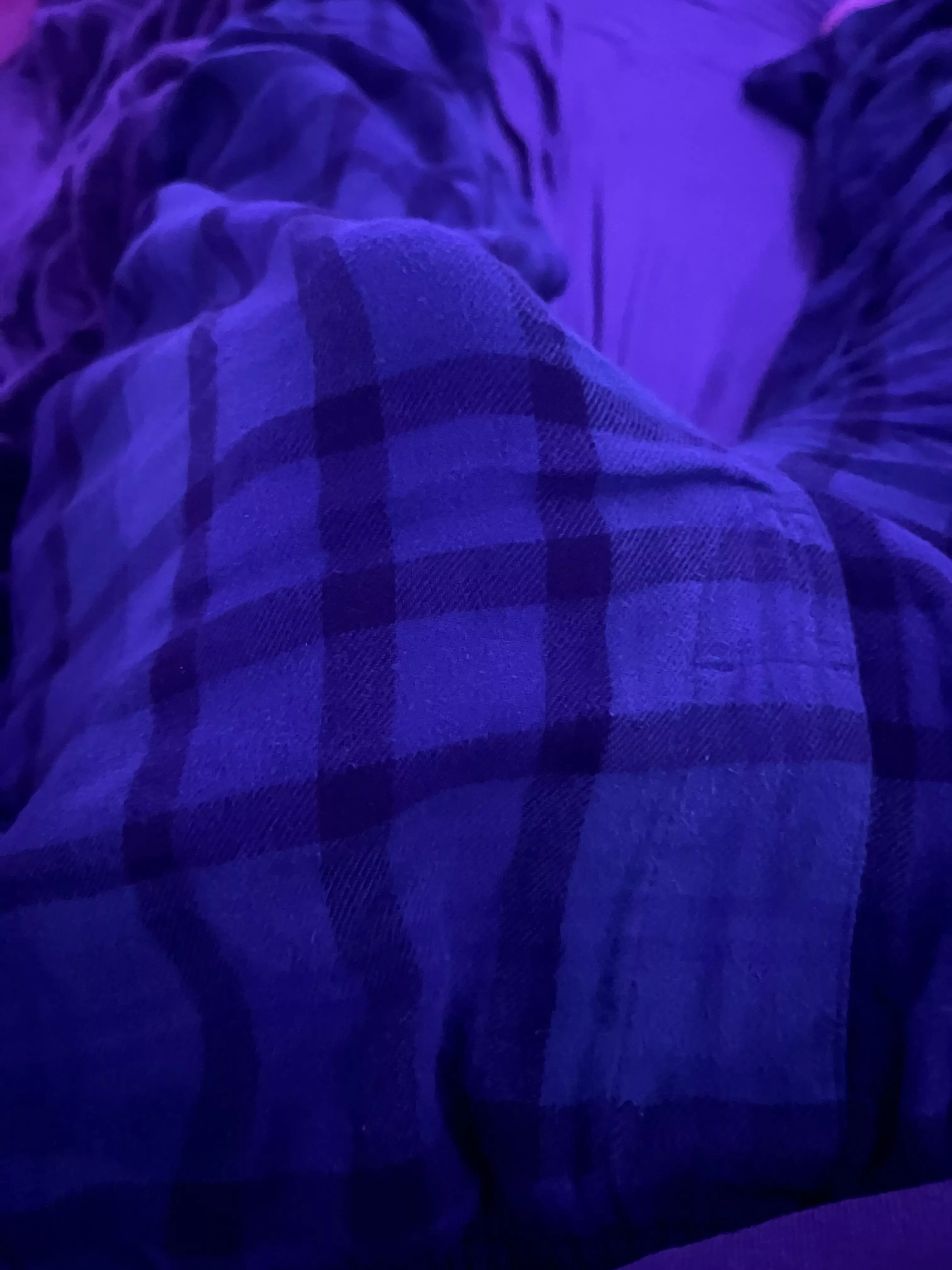 my hard cock
