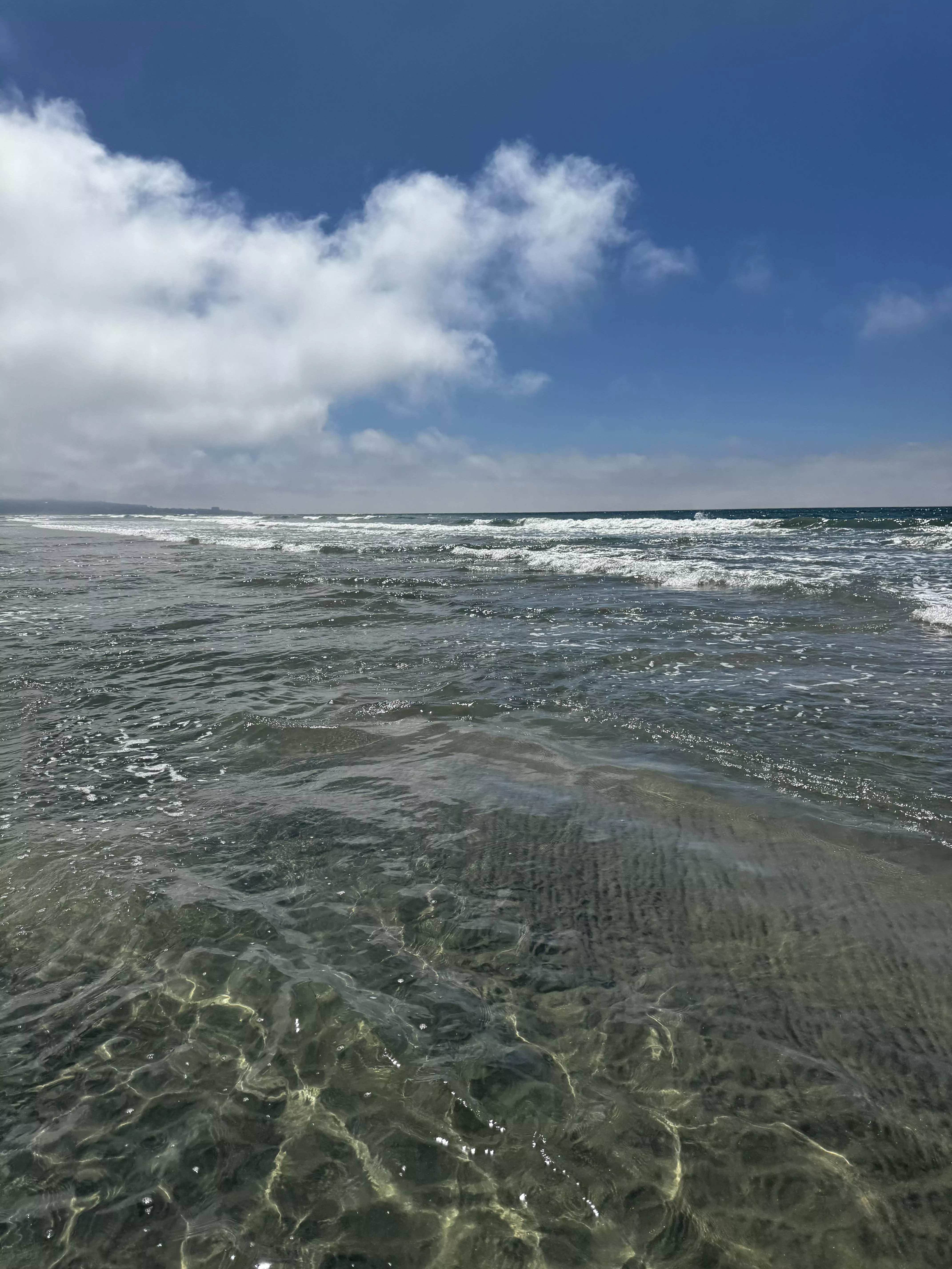 San Diego, Torrey Pines