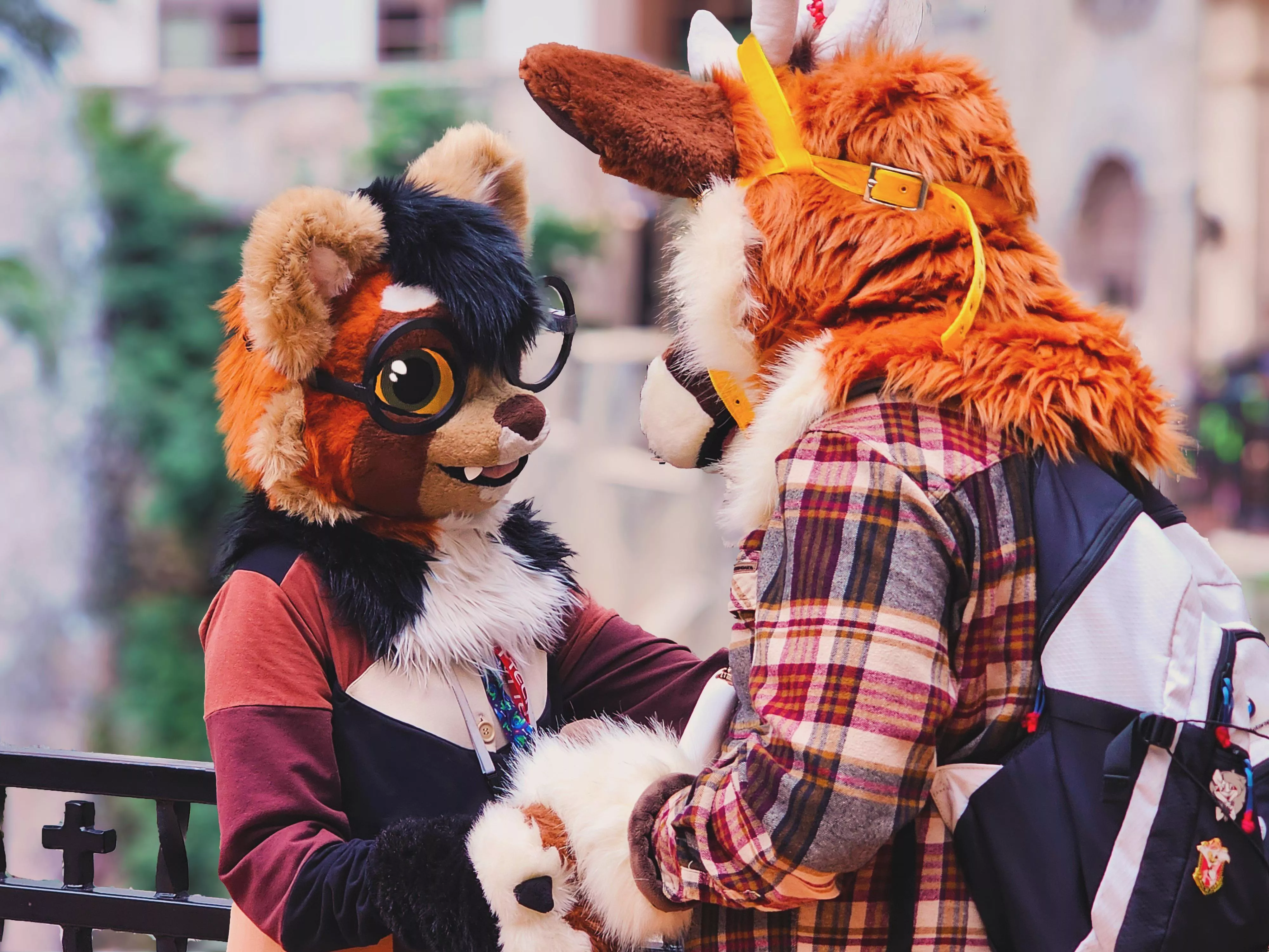 Tell me about your special someone ❤️