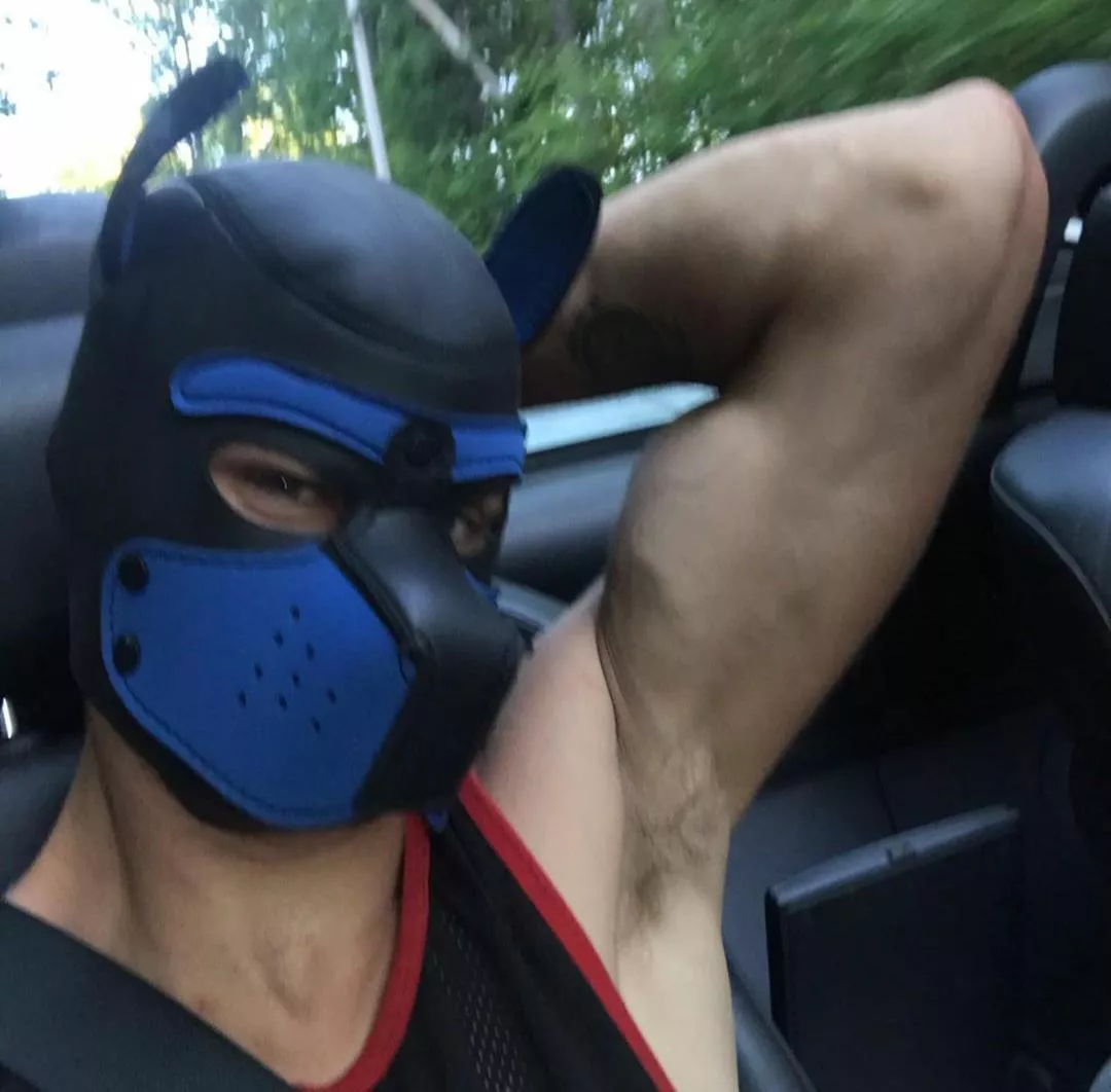 Think this would make for a good Halloween costume?