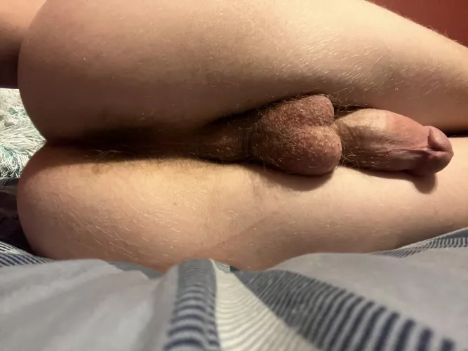 Think you could help me out (dm me for more)