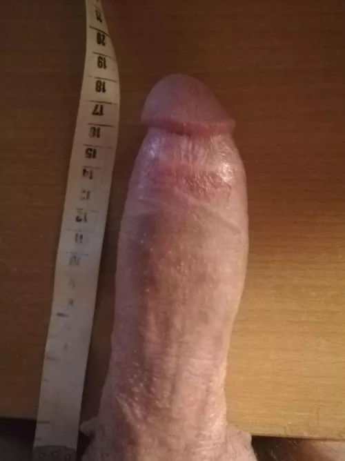 Wana ride this european bwc 