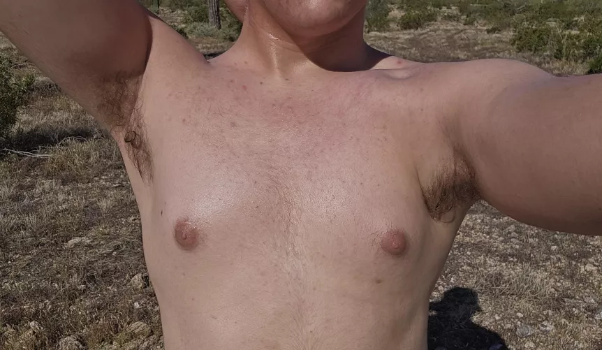 Went hiking in the desert... look at how sweaty I got 🤤
