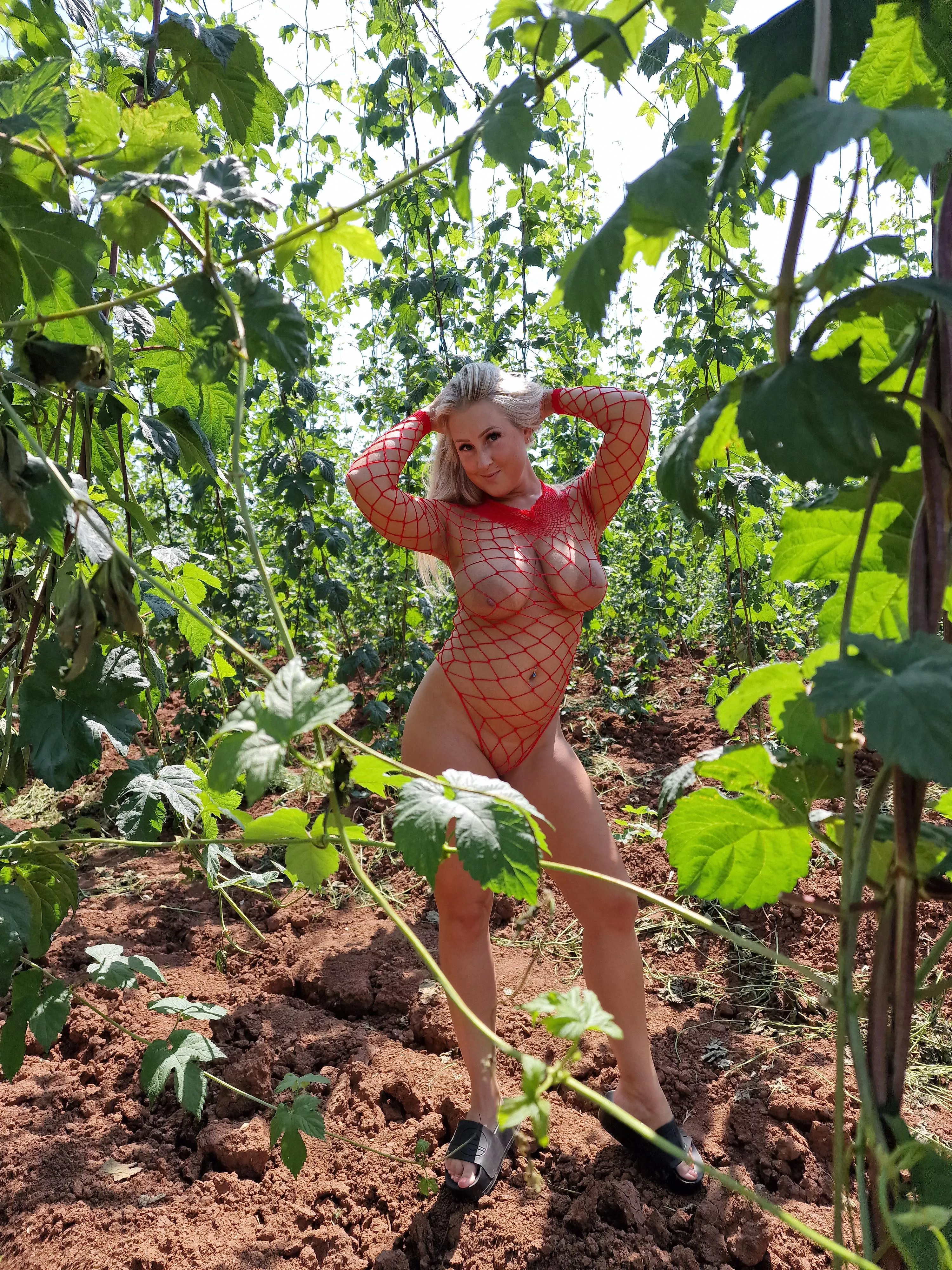 What would you do If you found me in the wild