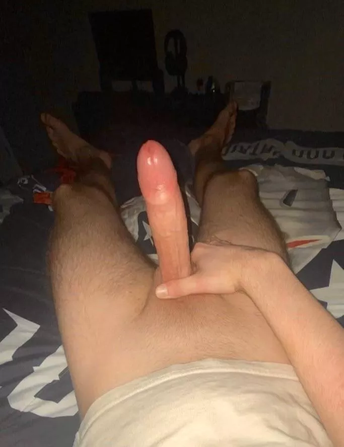 Would you let me breed you?