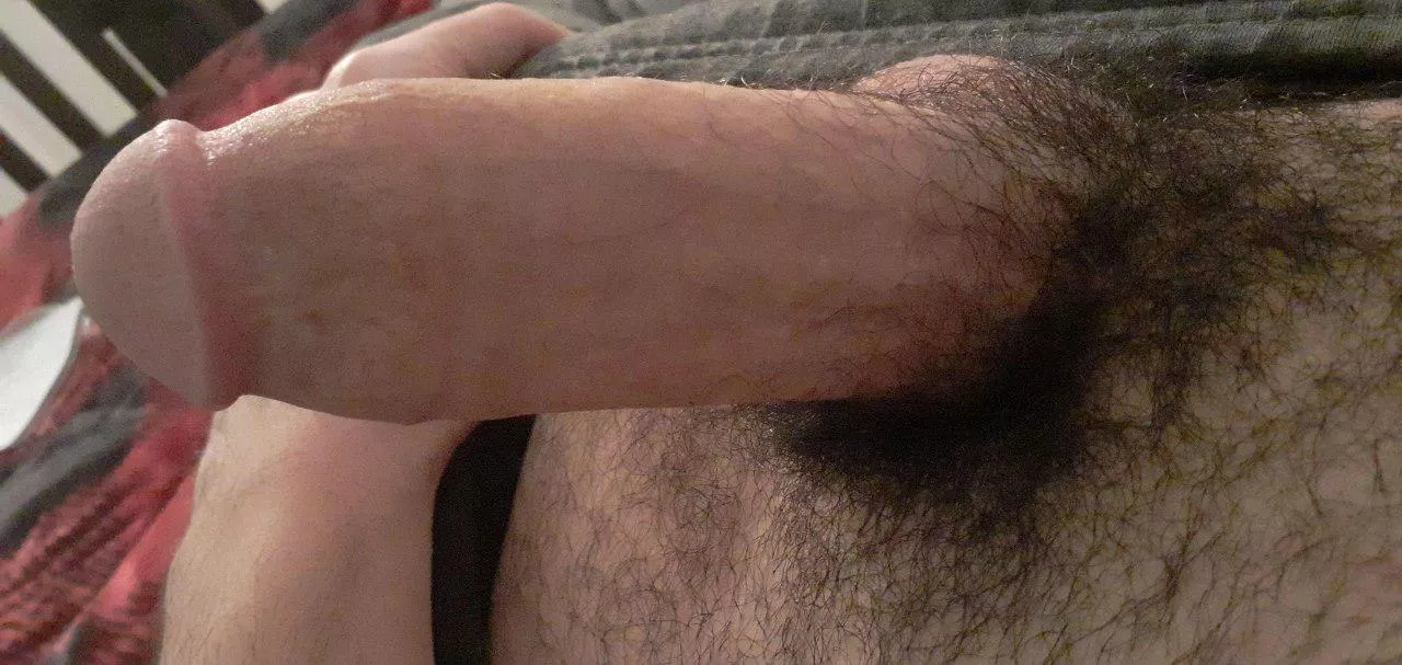 Young Canadian cock. What do you truly think ?