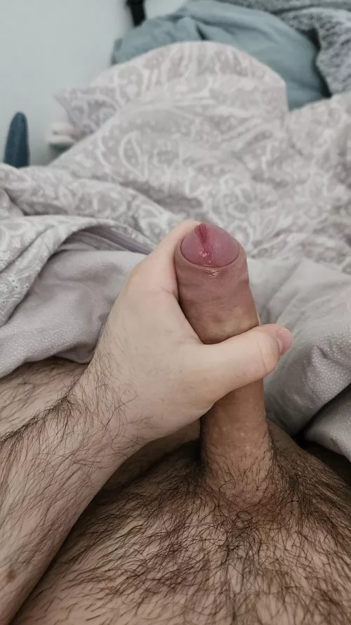 21m college boy looking for chill jerk bros. Everyone welcome hmu matty_hh21