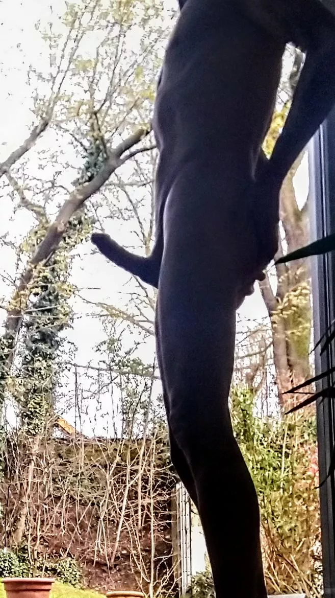 [45] Spring time ... Spring feeling 