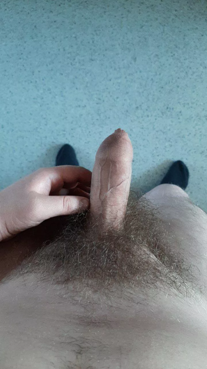 Anyone interested in this cock?