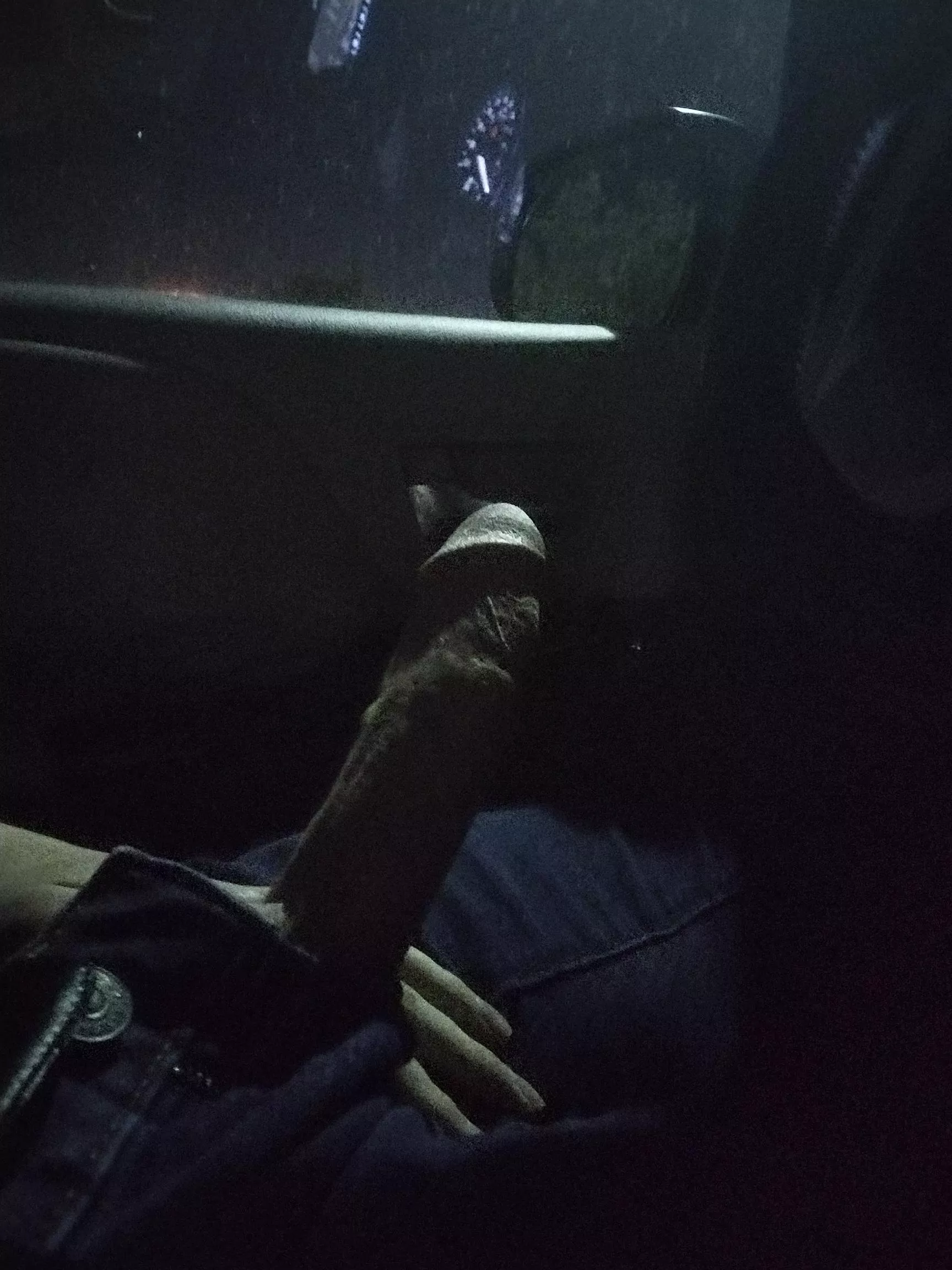 Anyone wanna go for a ride?