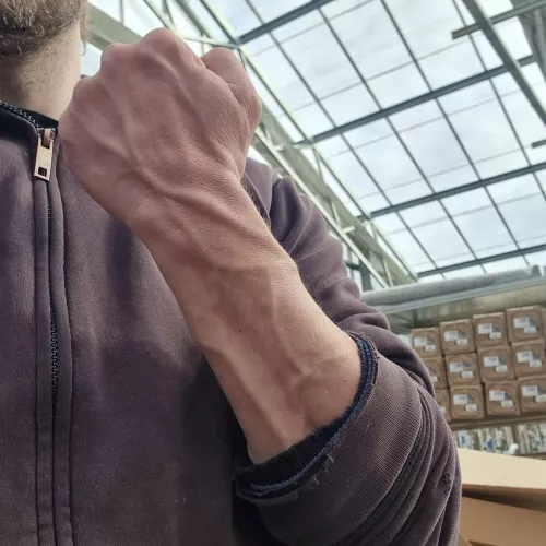 Are there enough veins?