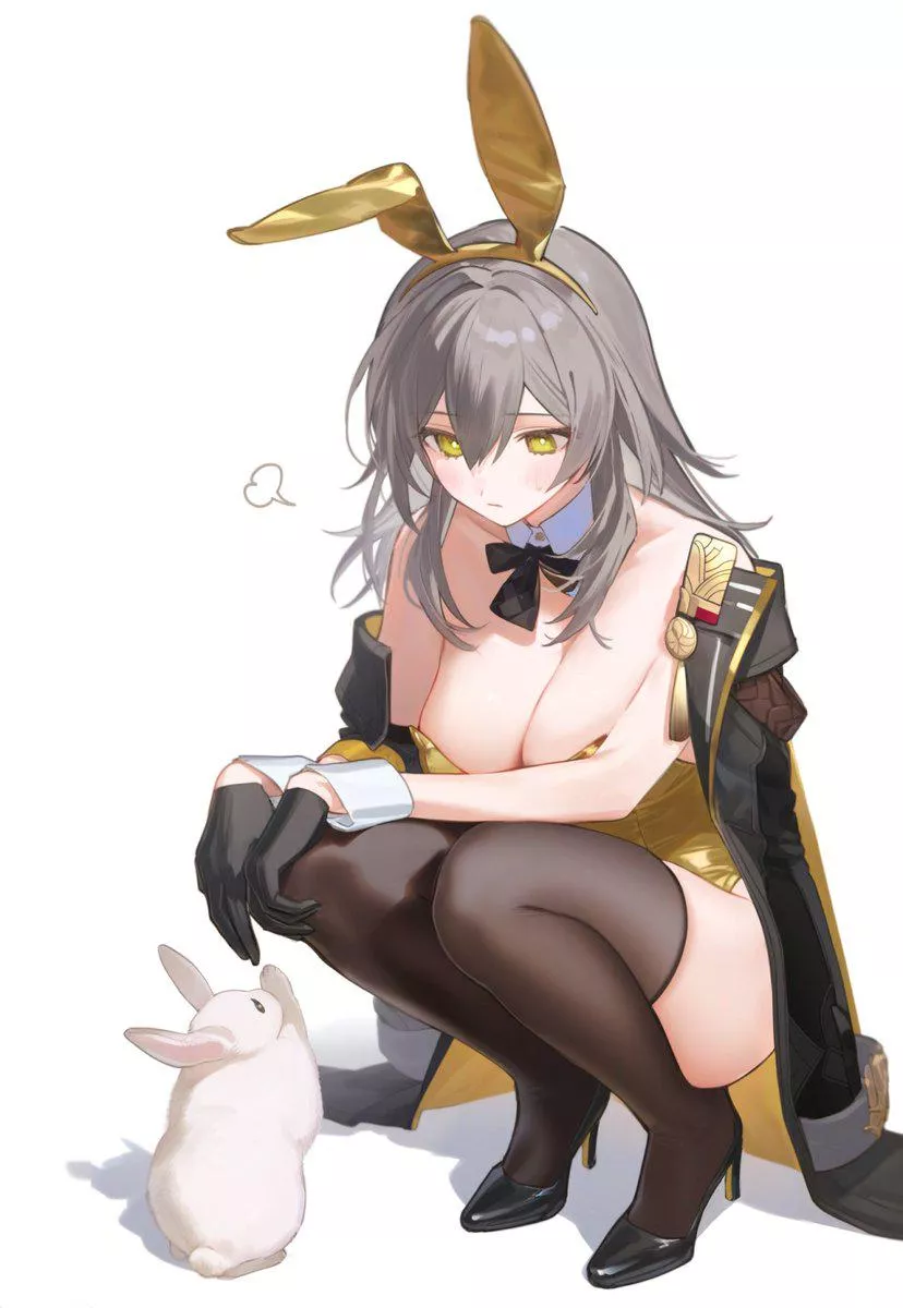Bunny Stelle [Honkai Star Rail]