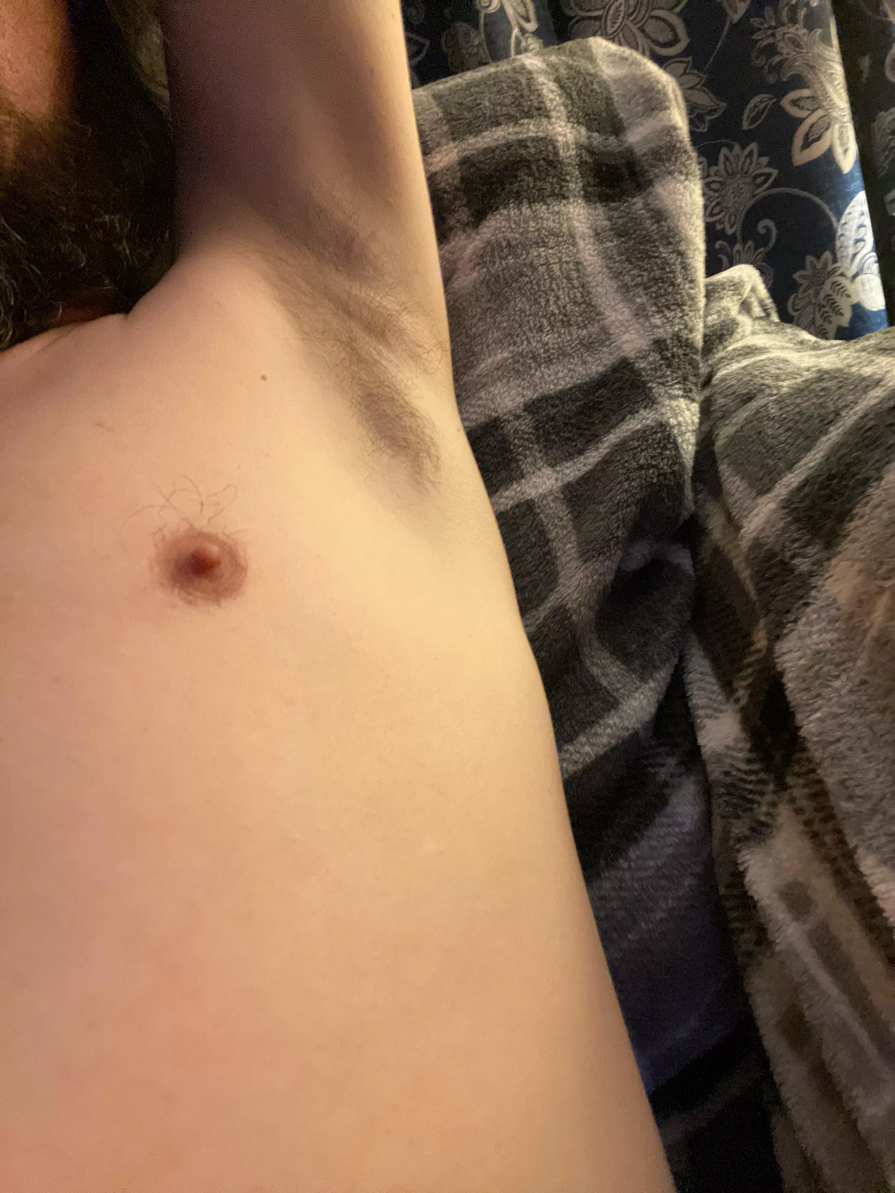 Come give it a sniff 