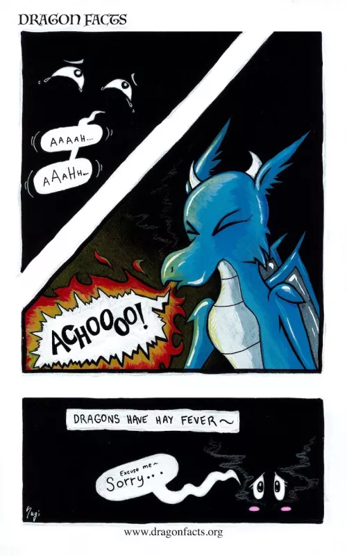Dragon Facts #14
