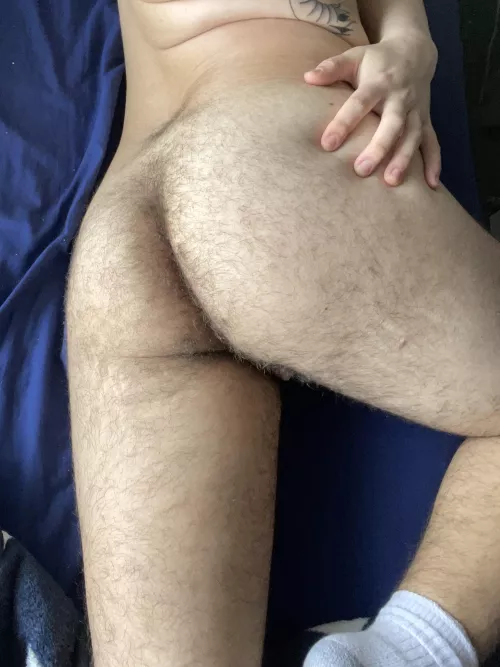Hairy 19FTM ass 