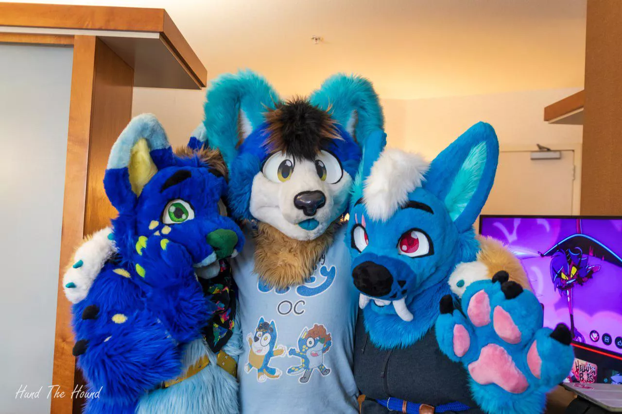 Happy #FursuitFriday from all the cool blue dogs!