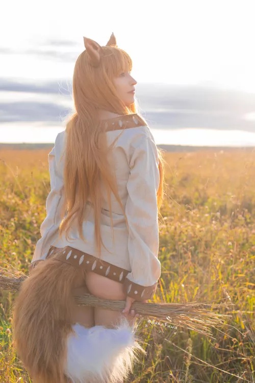 Holo the Wise cosplay by (BakaFuwa)