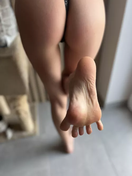 lick everyone of them 