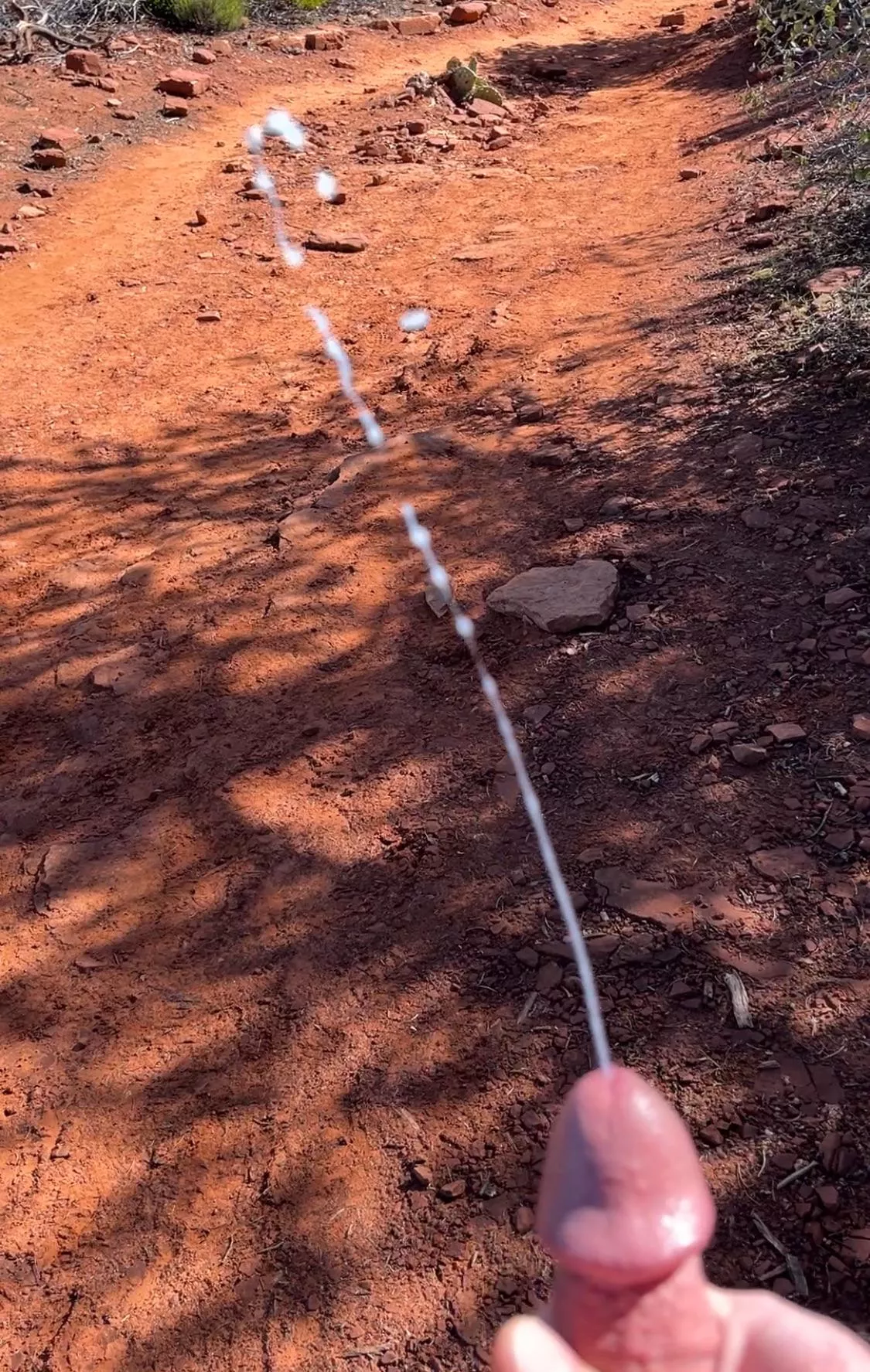 Love the thrill of getting caught