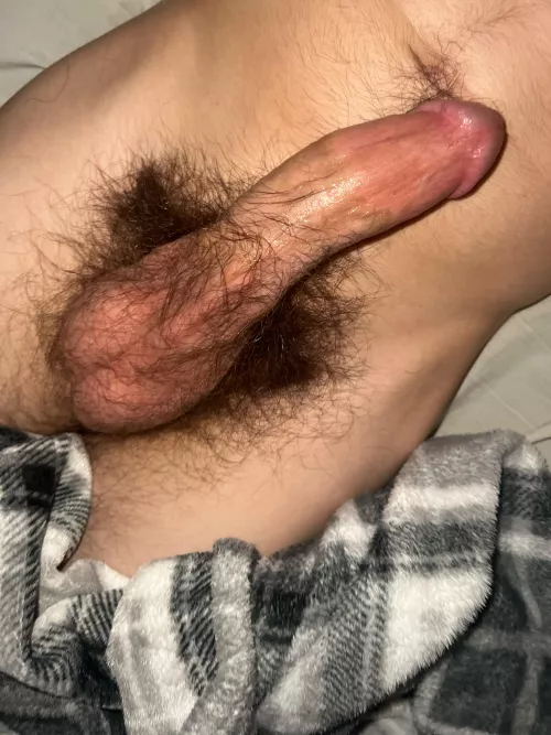 my hairy cock