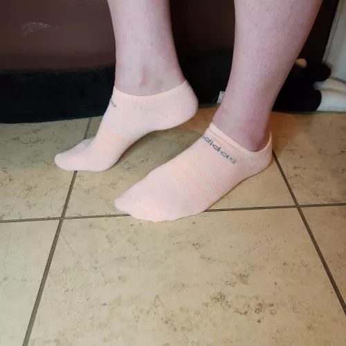 Salmon colored adidas no shows for you. What's your favorite sock color?