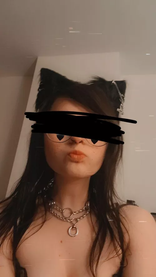 Self collared goth girl, picked this one up at Petco and I'm loving it 🥰