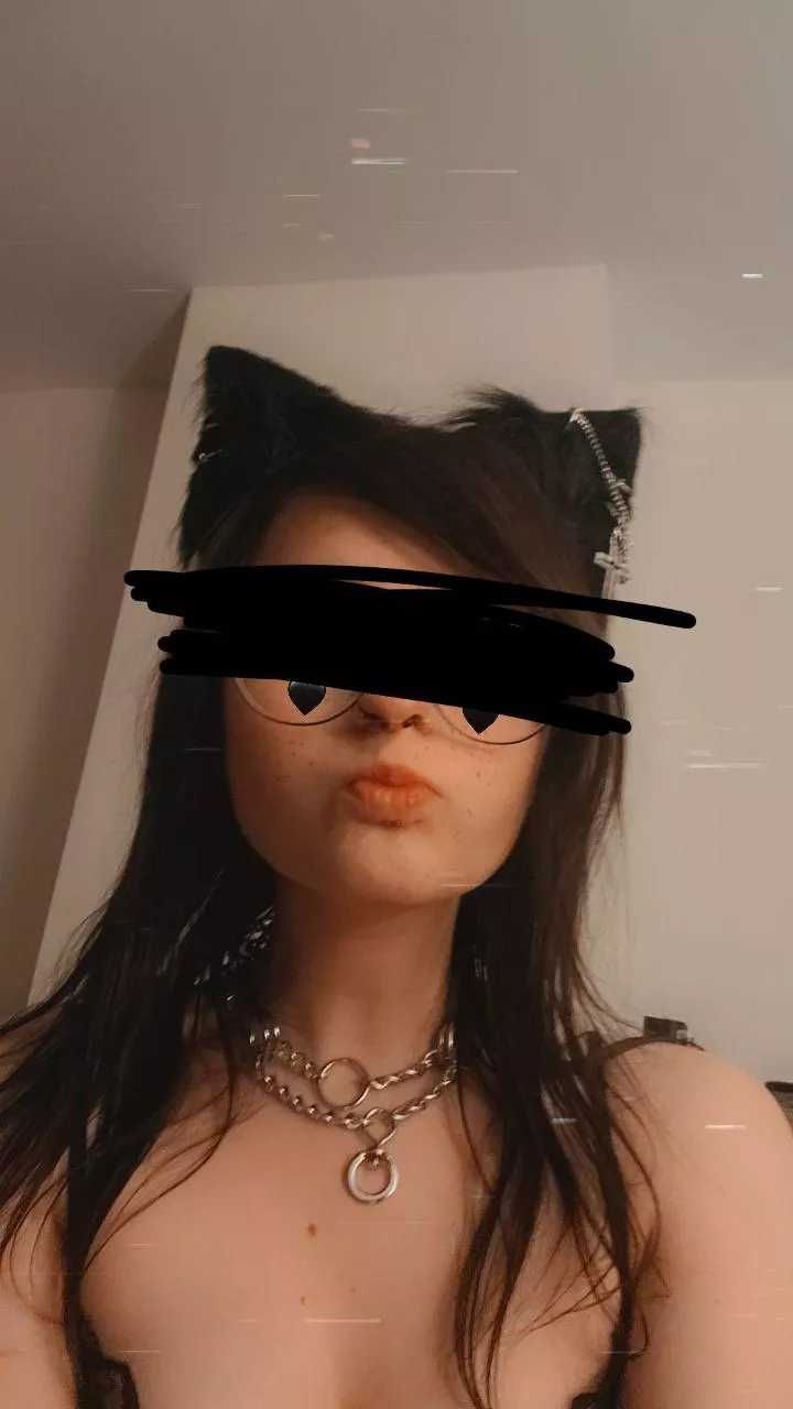 Self collared goth girl, picked this one up at Petco and I'm loving it 🥰