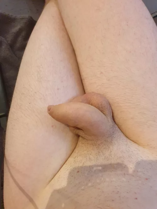 What do you think about it?