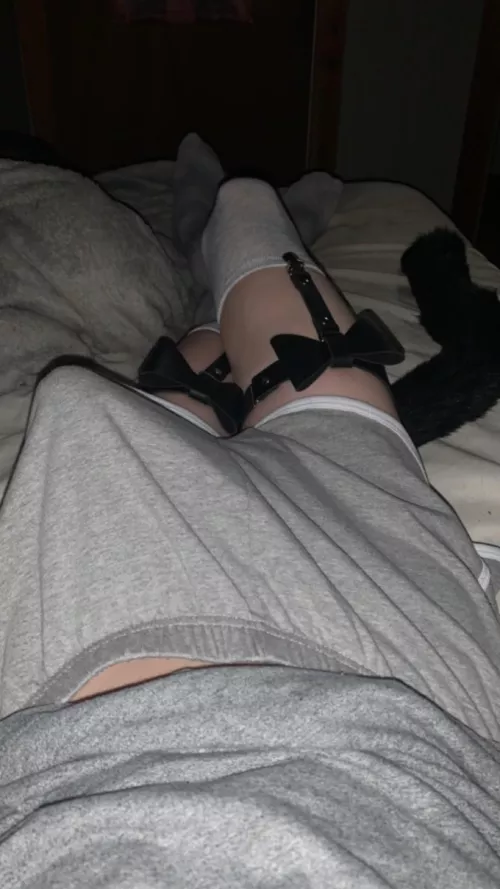 Would you help a horny catboy~? ;3