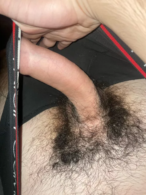 19m looking for Extreemly hairy guys around my age add Pickle9918