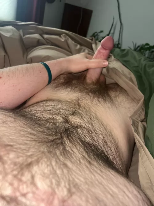 20 Vermont looking to jerk and cum with hairy/uncut men. Sc: Alagator1234