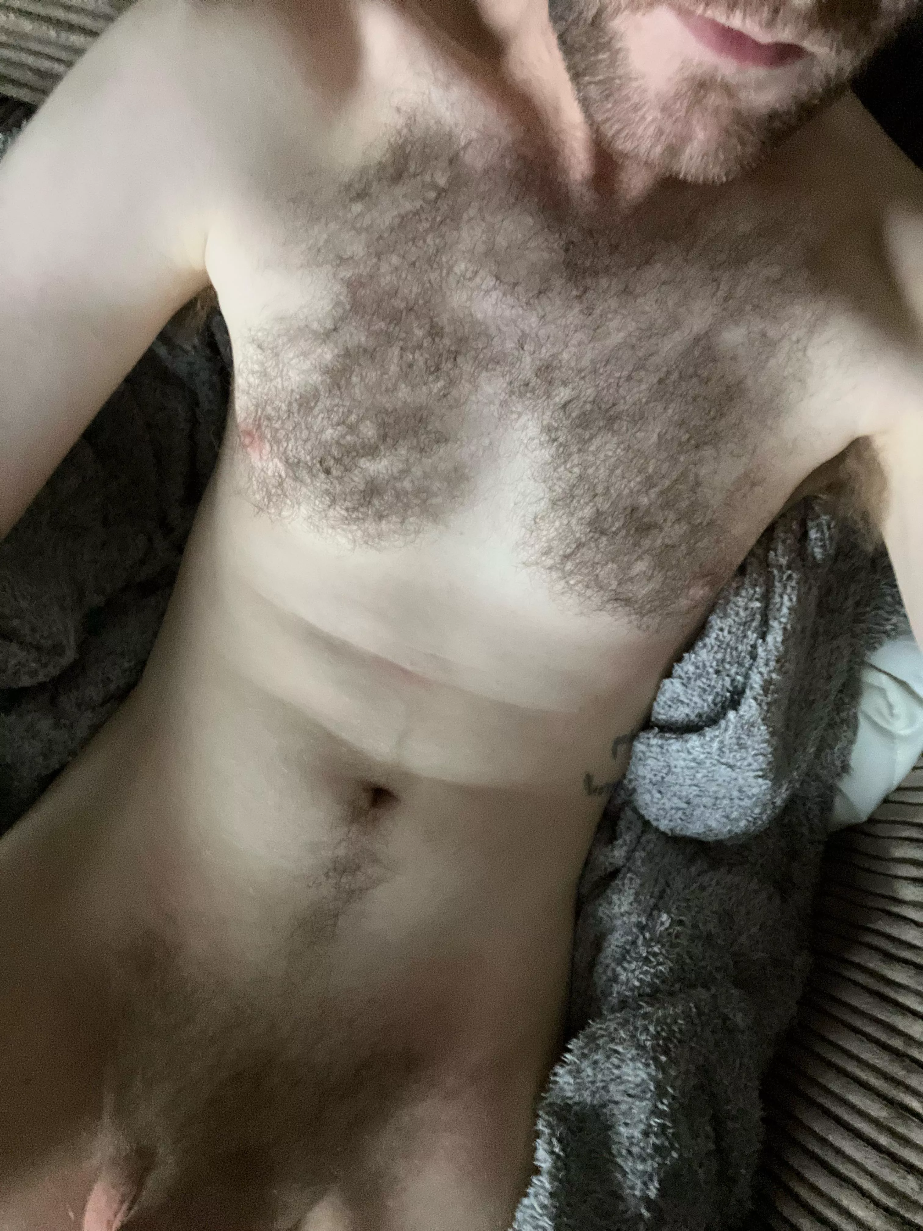 31m UK slim/hairy gaymer SC:jay234558