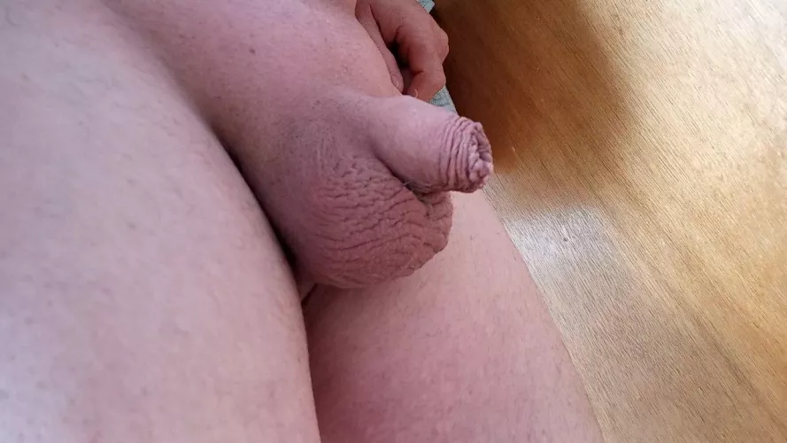 Any appreciation for tiny little guys on this Friday night? You can be kind or mean. I like you either way 😊