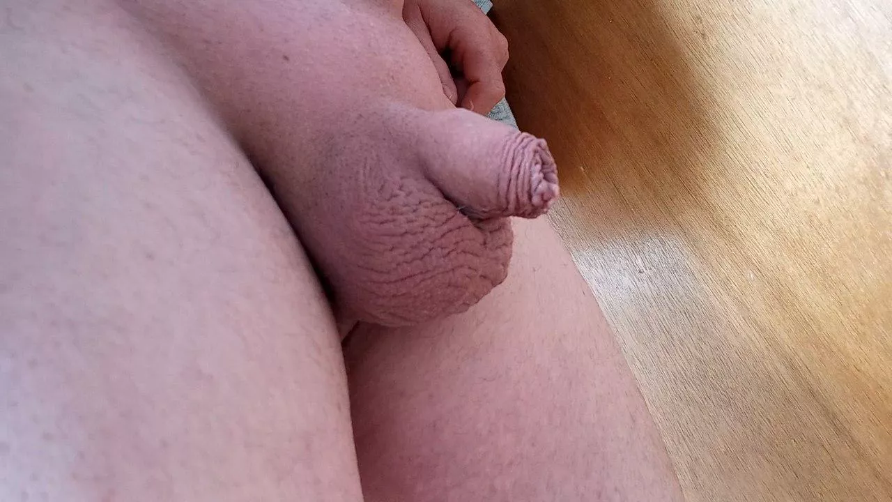 Any appreciation for tiny little guys on this Friday night? You can be kind or mean. I like you either way 😊