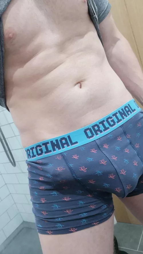 Anyone like penguins?