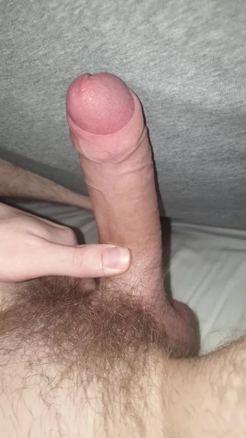 Are there any fans for a hairy uncut cock?