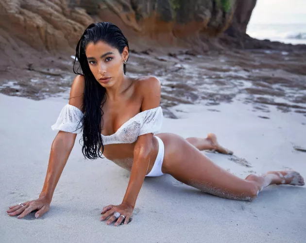 Ashy alone on a beach 