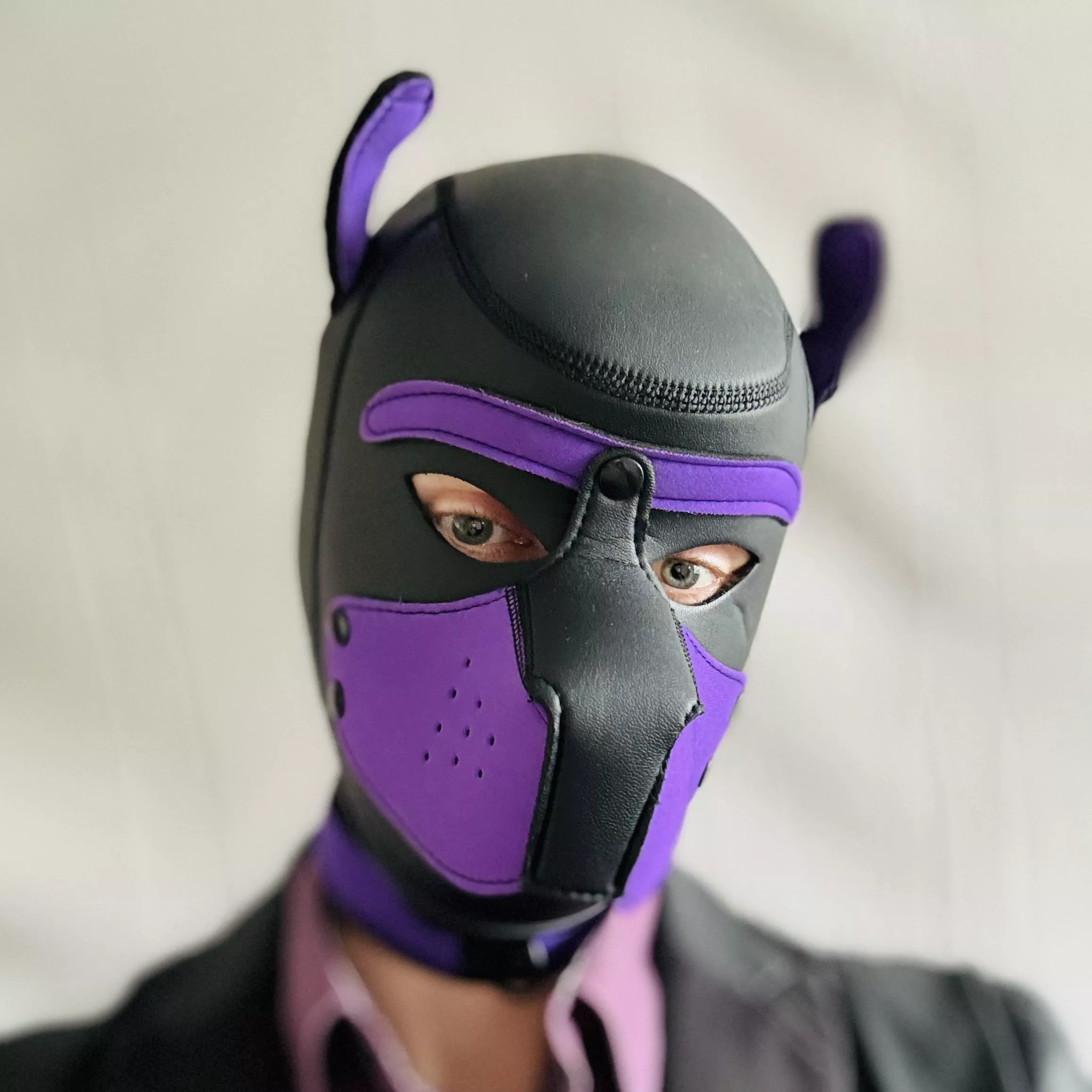 Awwroo! New pup in town.. 🐶