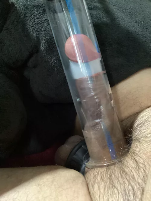 Beginning to fill it!