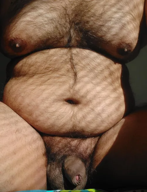 Chubby Brown Boy..Looking to have tits sucked