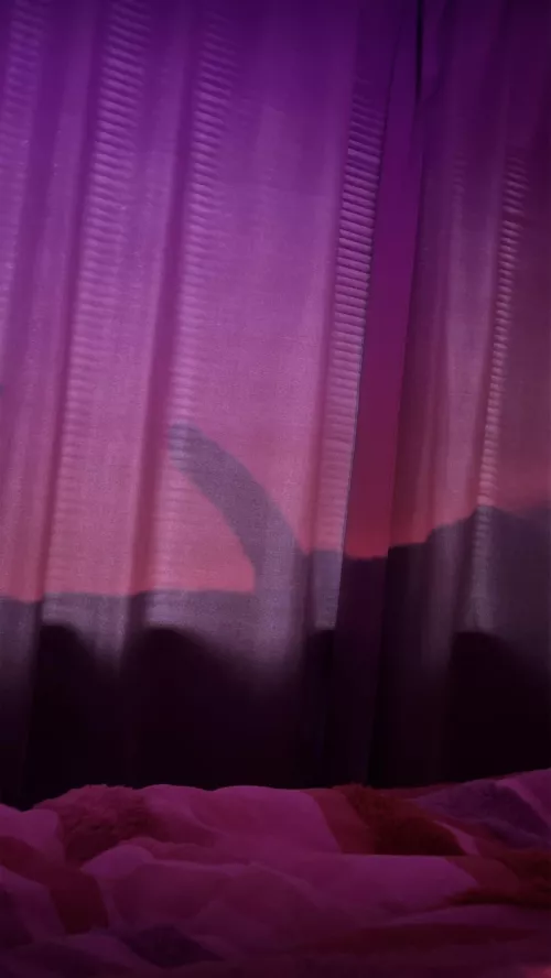 Cold Melbourne morning, just want summer back 