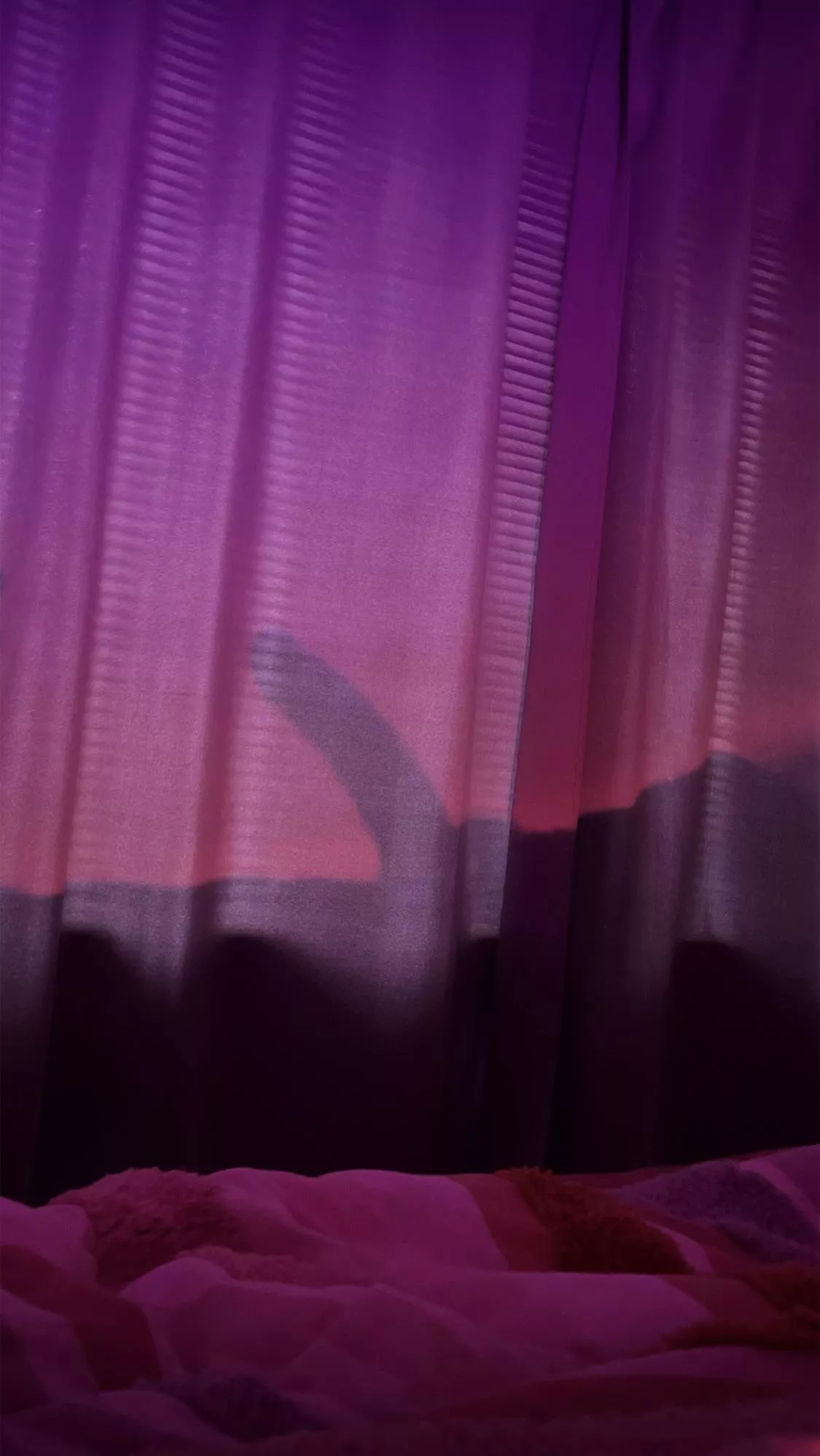 Cold Melbourne morning, just want summer back 