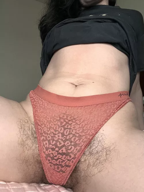 I hope my bush won't stand in your way