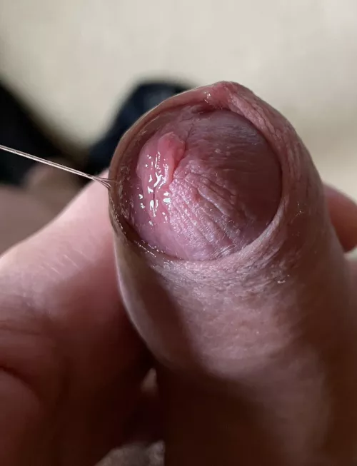 I need someone to lick it (25)