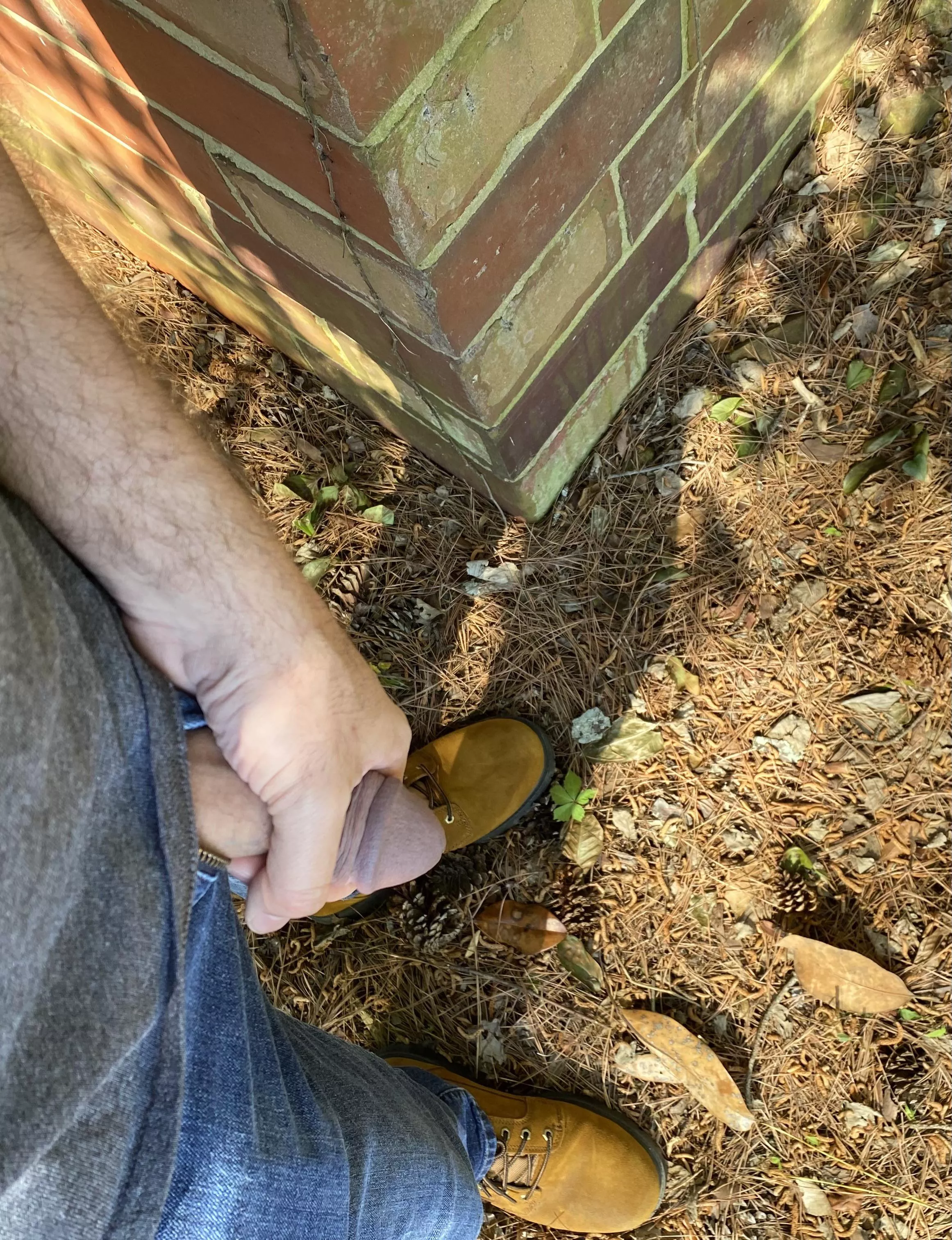 Just whipping it out to take a leak behind the shed. So great to be back on the land.