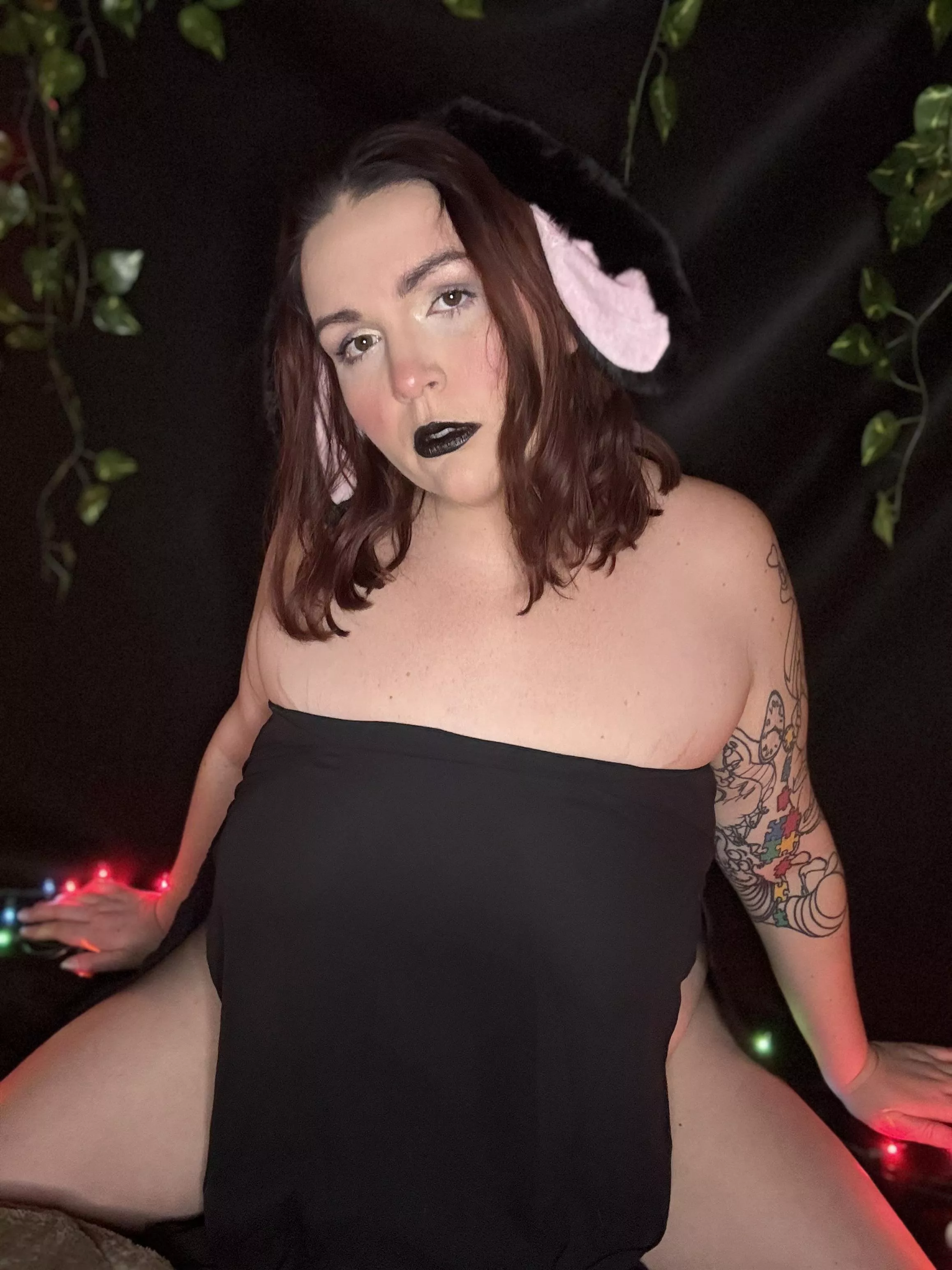 Little bunny needs something to hop on