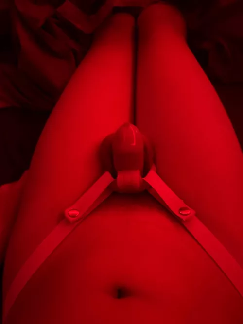 Locked up like a good sissy for mommy ☺️ 